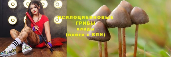 спиды Куйбышев