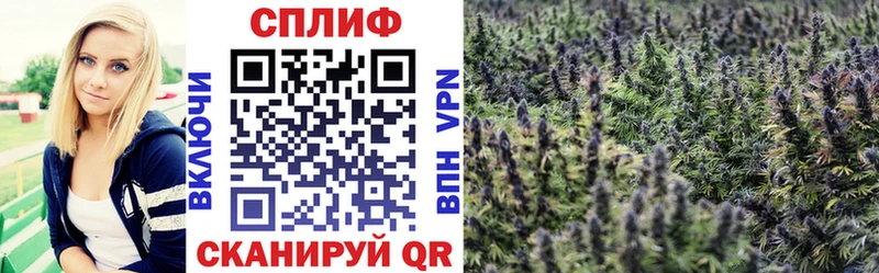 MEGA ONION  Кочубеевское  Каннабис THC 21% 